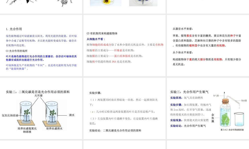 PK中考（江西专用）中考生物 第四章 第三节 绿色植物的光合作用和呼吸作用课件-人教版初中九年级全册生物课件
