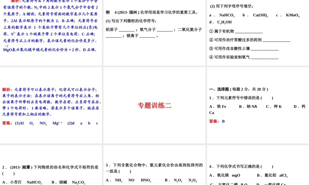 【中考备战策略】2014年中考化学总复习 第二部分 专题突破 专题二 化学用语 （含13年中考典例）课件 鲁教版