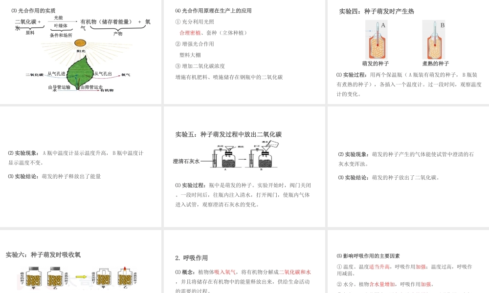 PK中考（江西专用）中考生物 第四章 第三节 绿色植物的光合作用和呼吸作用课件-人教级全册生物课件