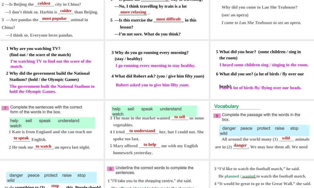 Revision module A课件