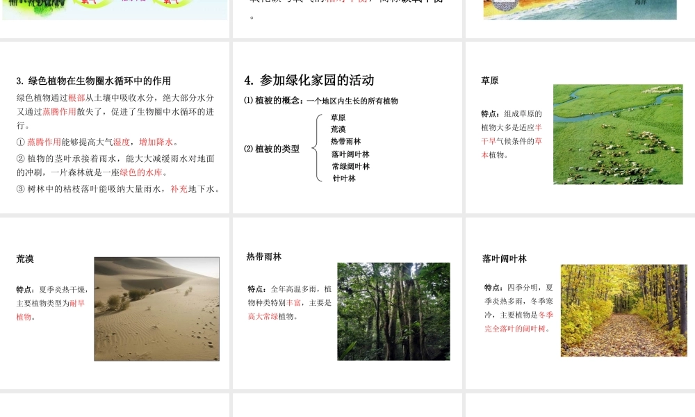 PK中考（江西专用）中考生物 第四章 第四节 绿色植物对生物圈有重大作用课件-人教级全册生物课件