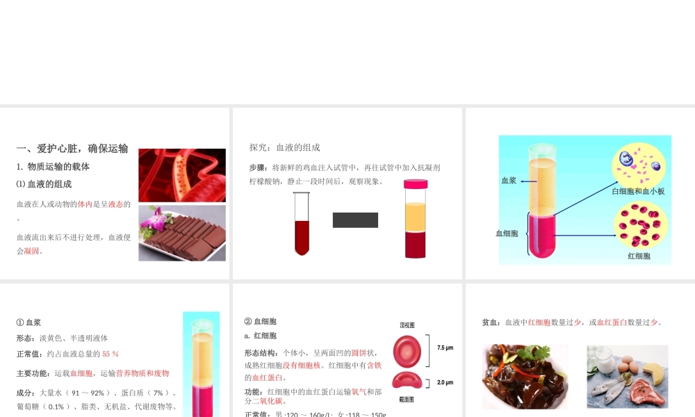 PK中考（江西专用）中考生物 第五章 第二节 人体生命活动的能量供给课件-人教级全册生物课件