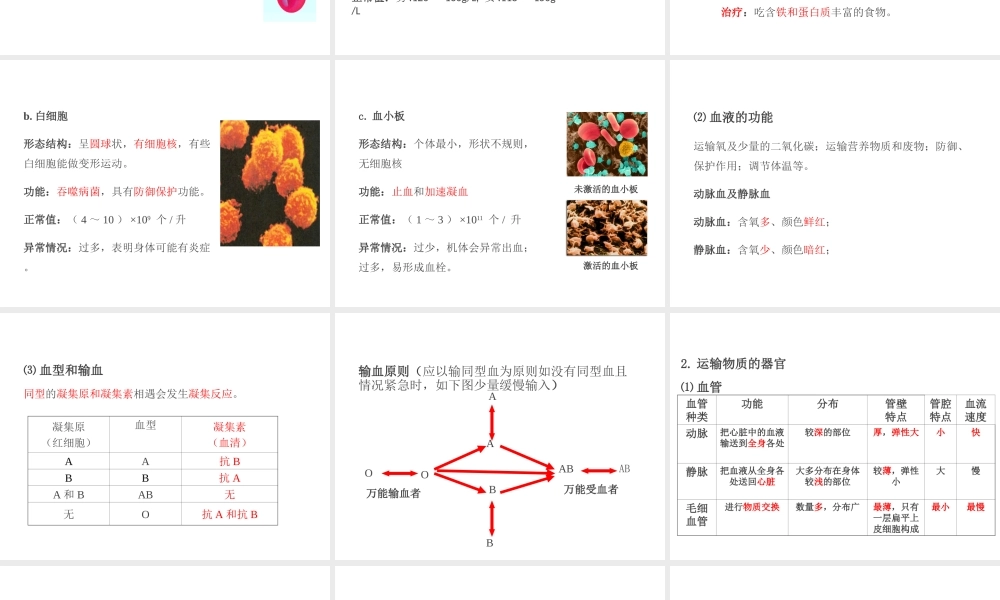 PK中考（江西专用）中考生物 第五章 第二节 人体生命活动的能量供给课件-人教级全册生物课件