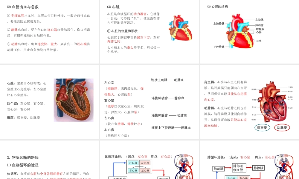 PK中考（江西专用）中考生物 第五章 第二节 人体生命活动的能量供给课件-人教级全册生物课件