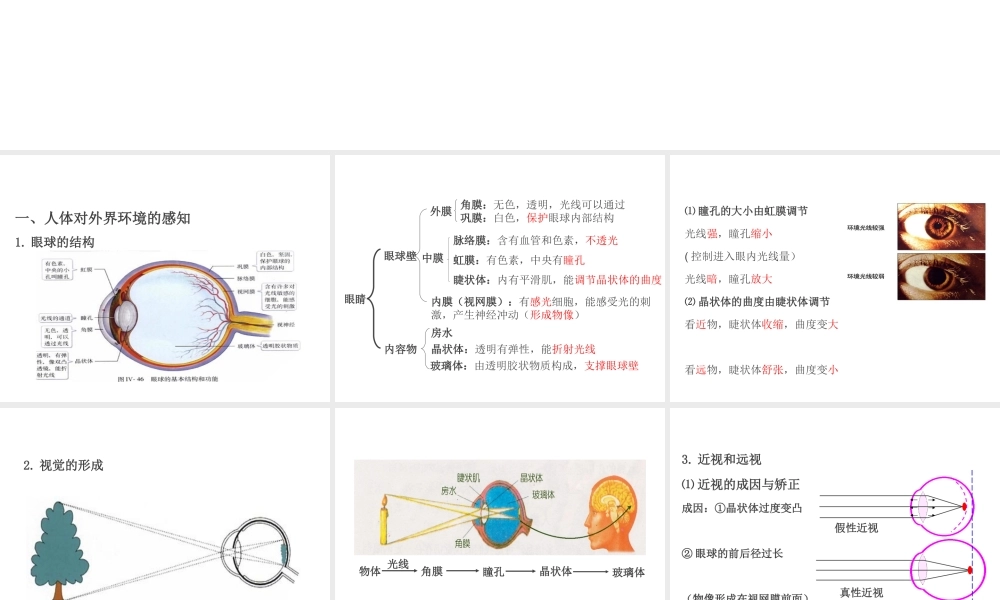 PK中考（江西专用）中考生物 第五章 第四节 人体通过神经系统和内分泌系统调节生命活动课件-人教版初中九年级全册生物课件