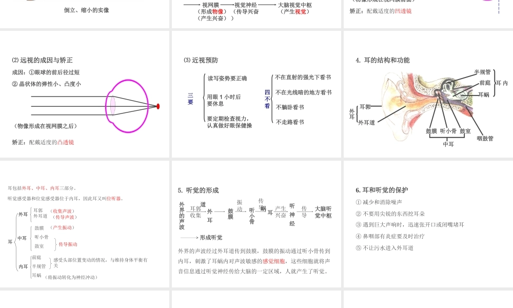 PK中考（江西专用）中考生物 第五章 第四节 人体通过神经系统和内分泌系统调节生命活动课件-人教版初中九年级全册生物课件