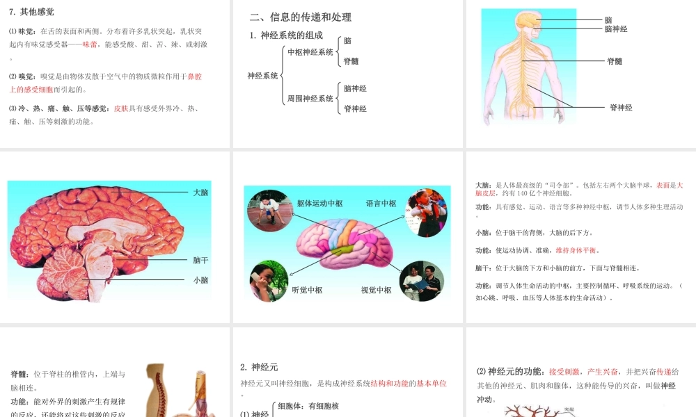 PK中考（江西专用）中考生物 第五章 第四节 人体通过神经系统和内分泌系统调节生命活动课件-人教级全册生物课件