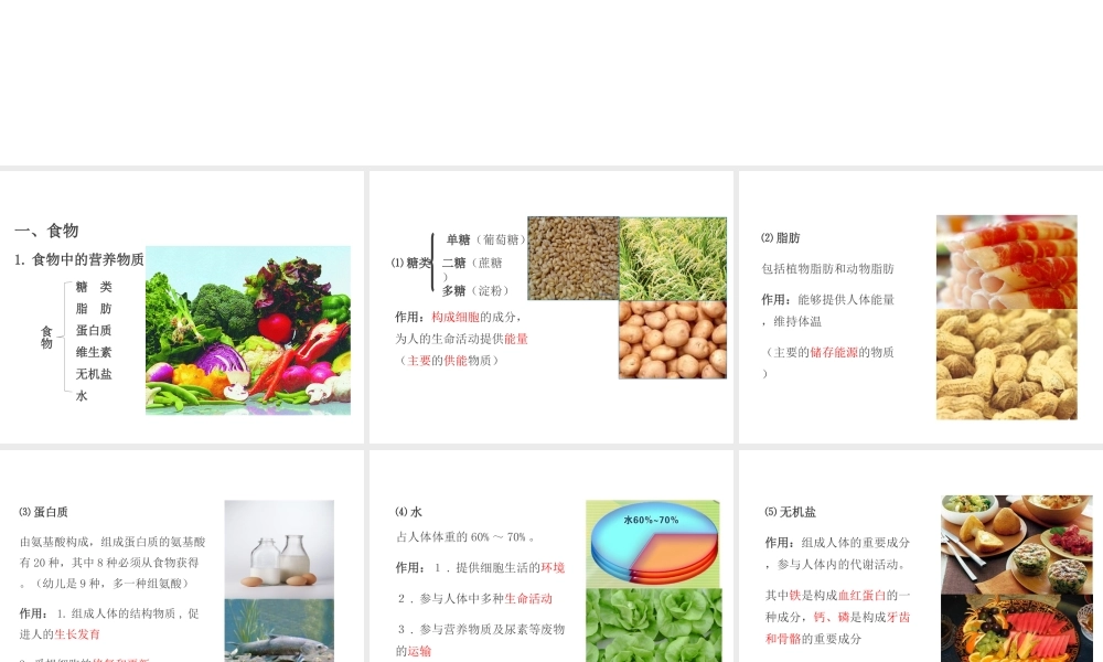 PK中考（江西专用）中考生物 第五章 第一节 人的食物来源于环境课件-人教级全册生物课件
