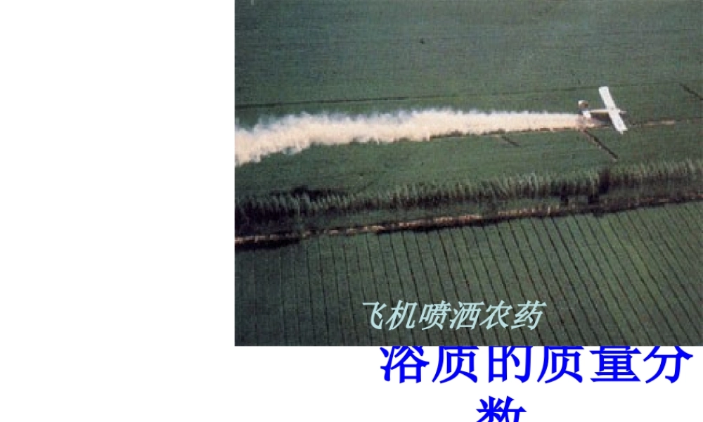 【倍速课时学练】八年级科学上册《1.5 物质的溶解》溶质的质量分数课件 浙教版