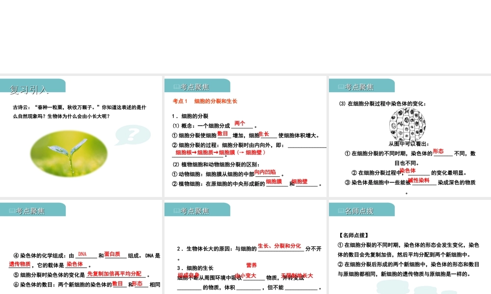 PK中考（江西专用）中考生物 二（二）细胞分裂、分化形成组织习题课件-人教版初中九年级全册生物课件