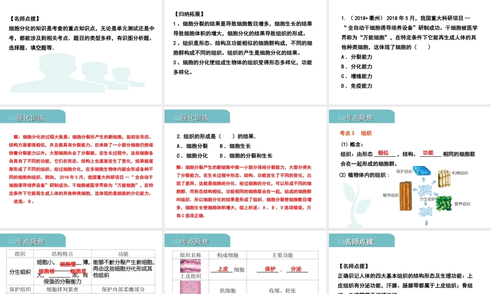 PK中考（江西专用）中考生物 二（二）细胞分裂、分化形成组织习题课件-人教版初中九年级全册生物课件