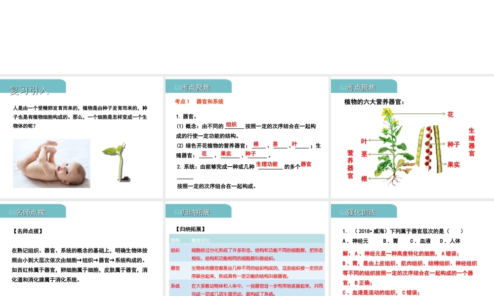 PK中考（江西专用）中考生物 二（三）多细胞生物体的结构层次习题课件-人教版初中九年级全册生物课件