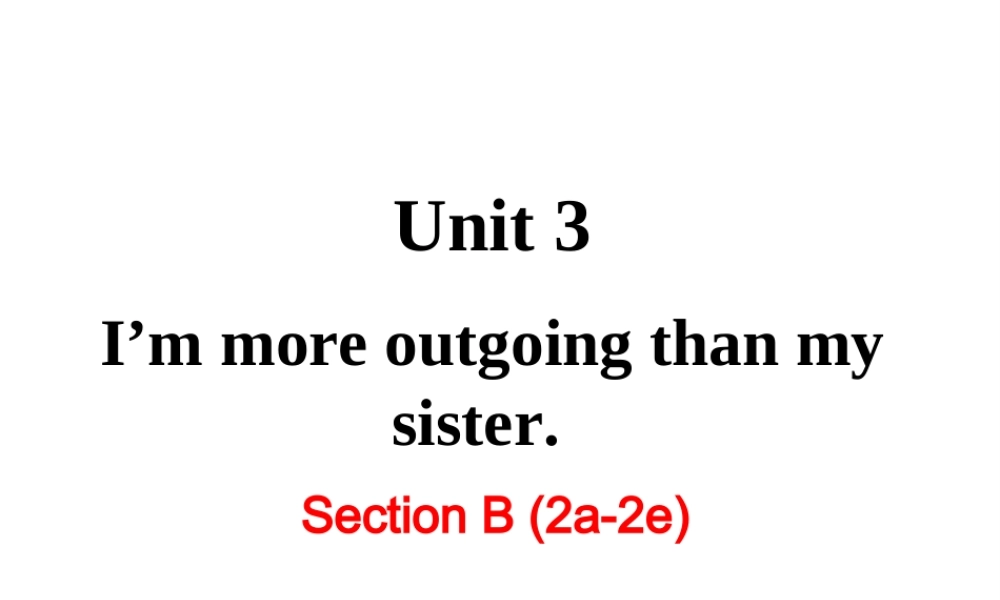 Section B (2a-2e) 教学课件