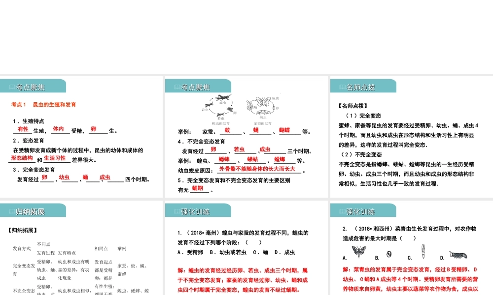 PK中考（江西专用）中考生物 七（二）动物的生殖和发育习题课件-人教版初中九年级全册生物课件