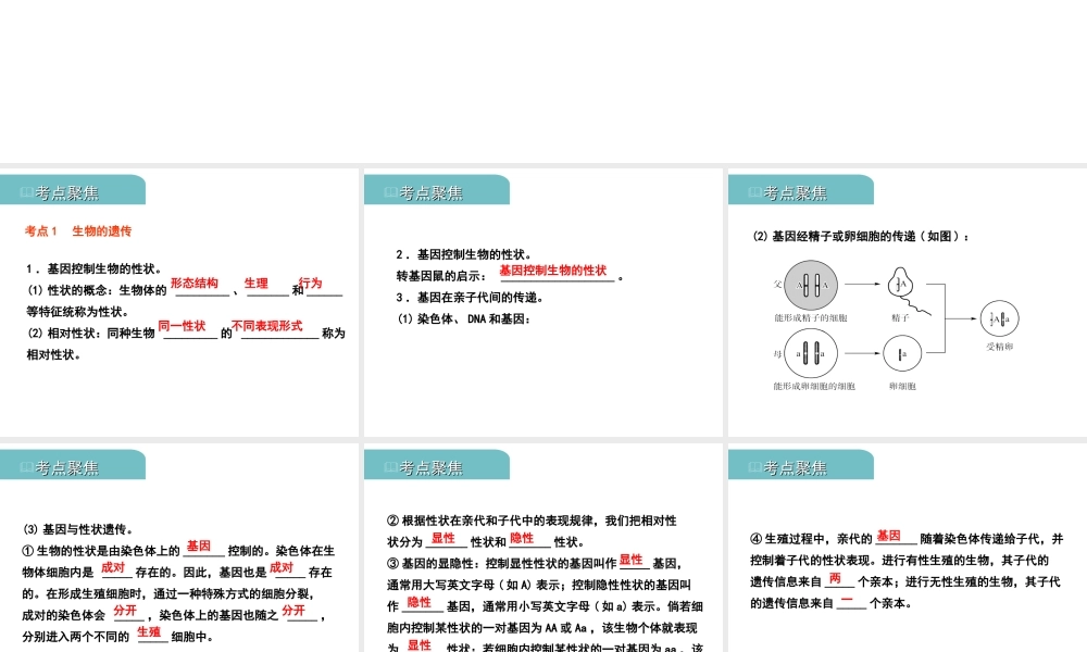 PK中考（江西专用）中考生物 七（四）生物的遗传和变异习题课件-人教级全册生物课件