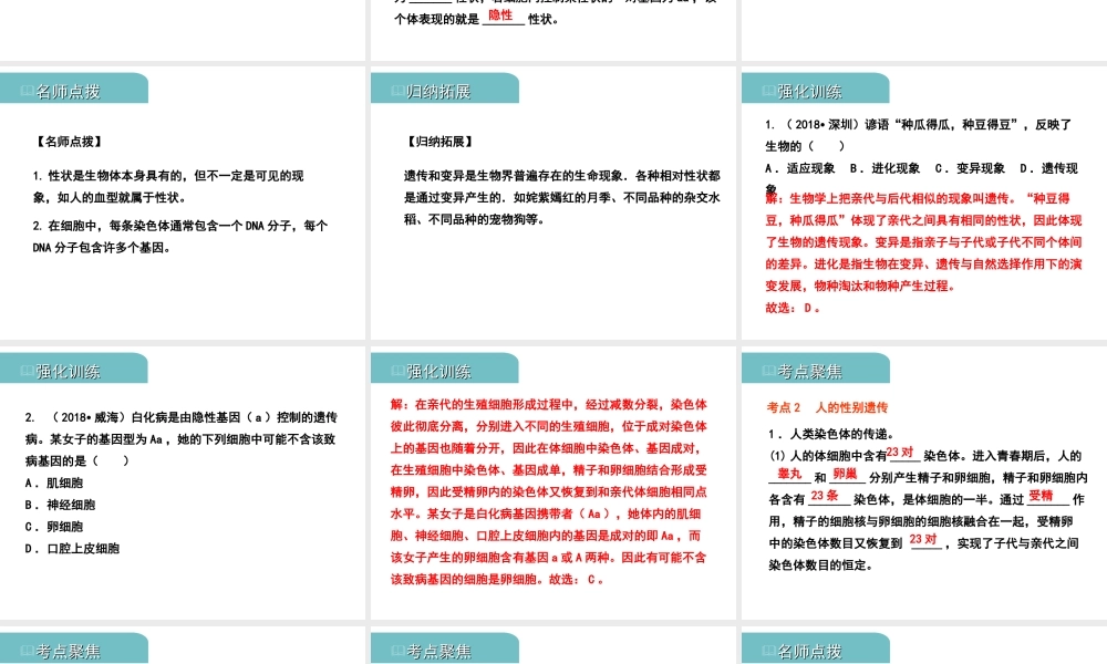 PK中考（江西专用）中考生物 七（四）生物的遗传和变异习题课件-人教级全册生物课件