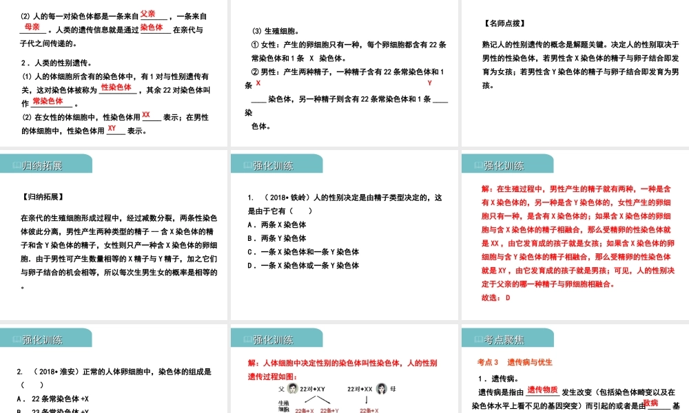 PK中考（江西专用）中考生物 七（四）生物的遗传和变异习题课件-人教级全册生物课件