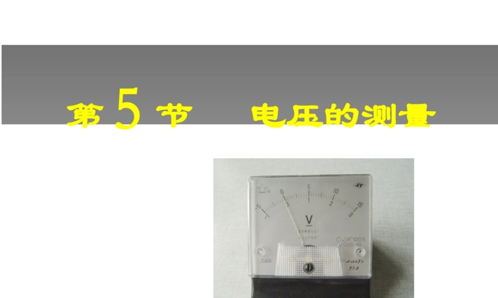 【倍速课时学练】八年级科学上册《4.5 电压的测量》课件2 浙教版
