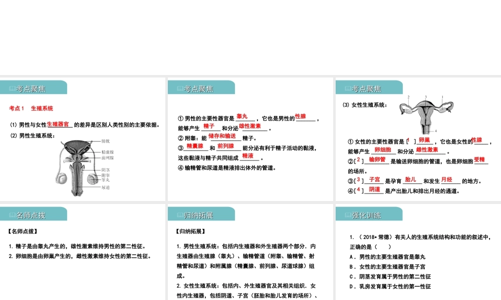 PK中考（江西专用）中考生物 七（一）人的生殖和发育习题课件-人教版初中九年级全册生物课件