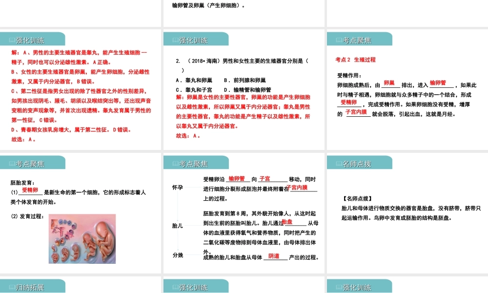 PK中考（江西专用）中考生物 七（一）人的生殖和发育习题课件-人教版初中九年级全册生物课件