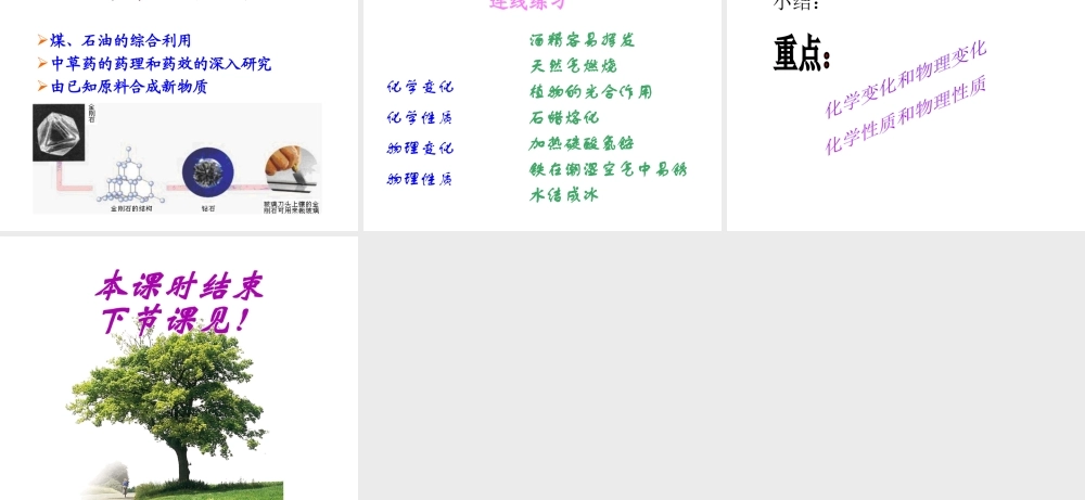 【倍速课时学练】九年级化学上册 第1章 第二节 化学研究些什么课件 沪教版