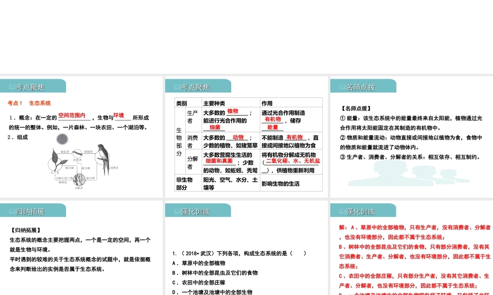 PK中考（江西专用）中考生物 三（二）生物与环境组成生态系统生物圈是人类与其他生物的共同家园习题课件-人教级全册生物课件
