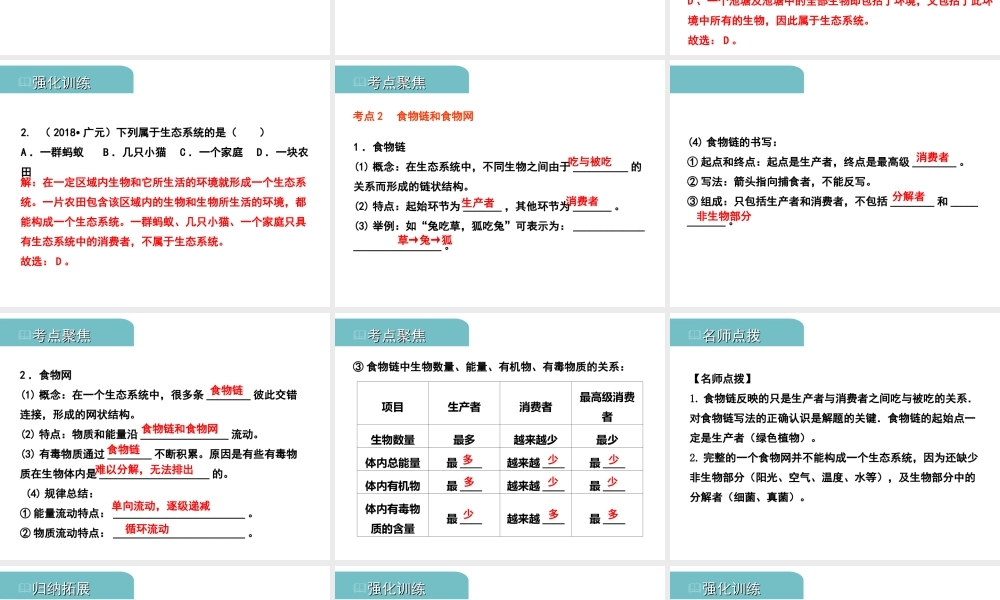PK中考（江西专用）中考生物 三（二）生物与环境组成生态系统生物圈是人类与其他生物的共同家园习题课件-人教级全册生物课件