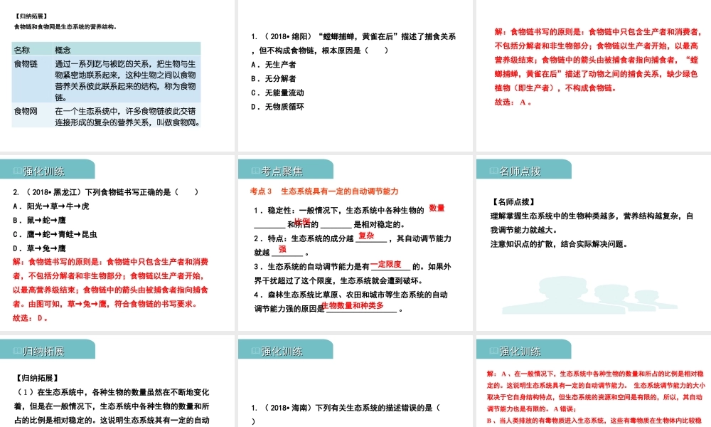 PK中考（江西专用）中考生物 三（二）生物与环境组成生态系统生物圈是人类与其他生物的共同家园习题课件-人教级全册生物课件
