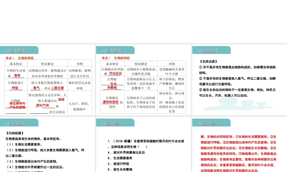 PK中考（江西专用）中考生物 三（一）生物的生存依赖一定的环境习题课件-人教版初中九年级全册生物课件