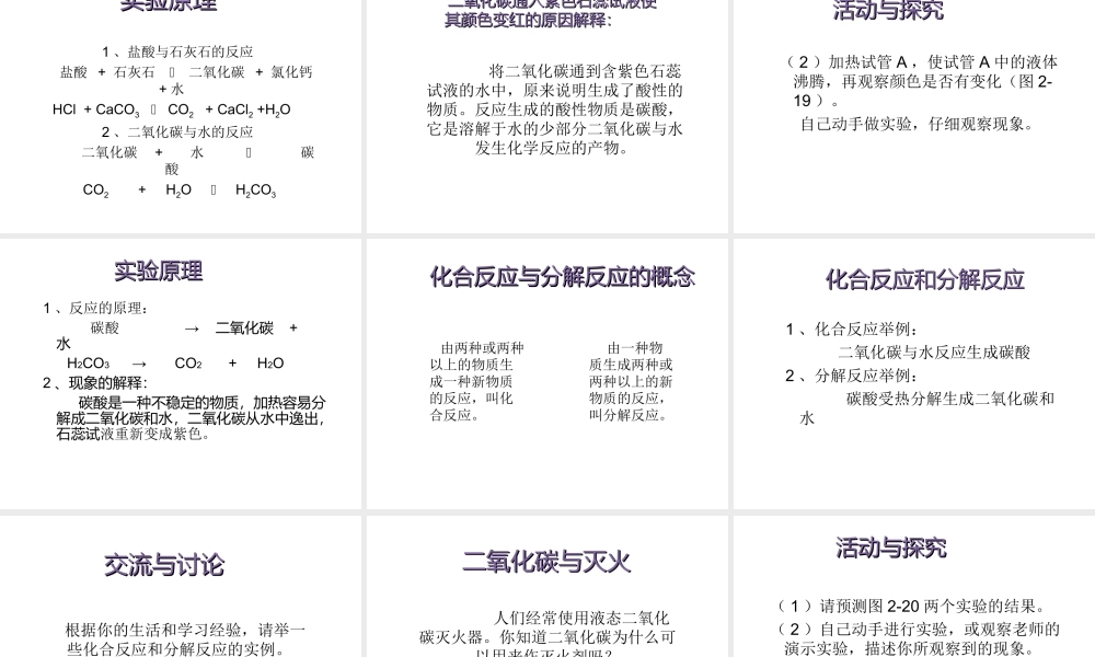 【倍速课时学练】九年级化学上册 第2章 第三节 奇妙的二氧化碳课件 沪教版