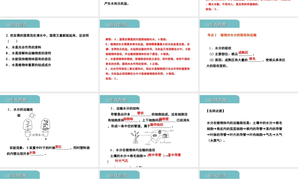 PK中考（江西专用）中考生物 四（二）绿色植物的生活需要水和无机盐习题课件-人教版初中九年级全册生物课件