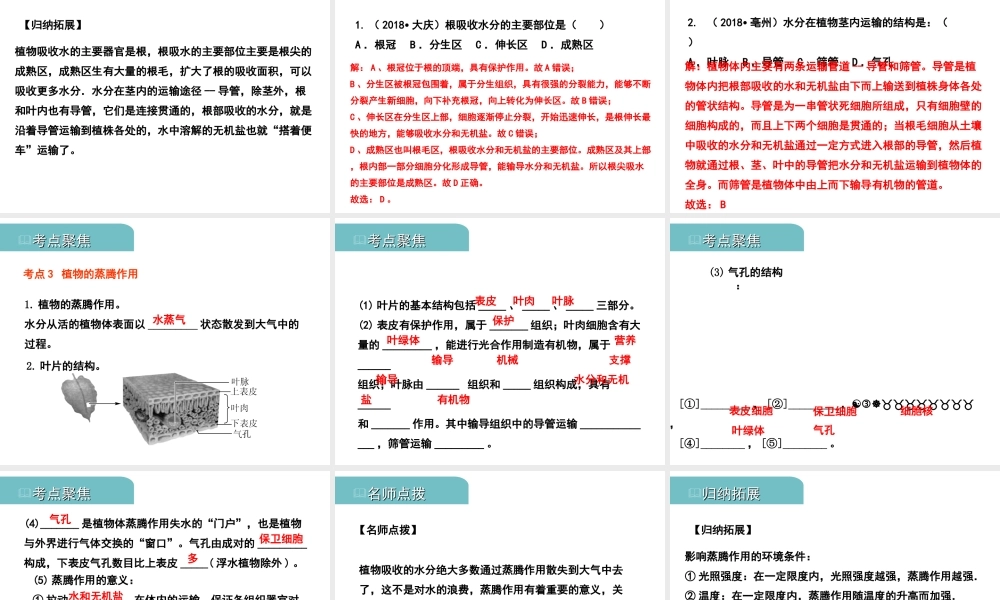 PK中考（江西专用）中考生物 四（二）绿色植物的生活需要水和无机盐习题课件-人教版初中九年级全册生物课件