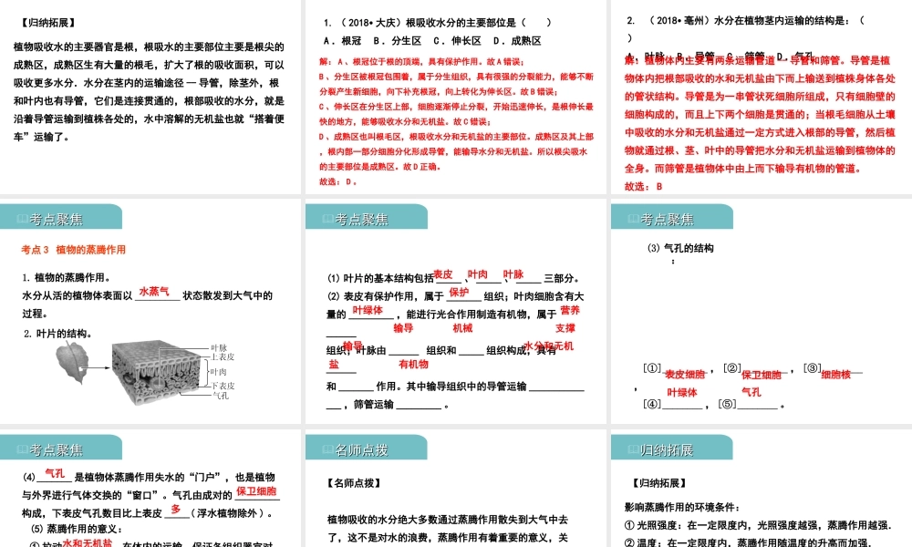 PK中考（江西专用）中考生物 四（二）绿色植物的生活需要水和无机盐习题课件-人教级全册生物课件