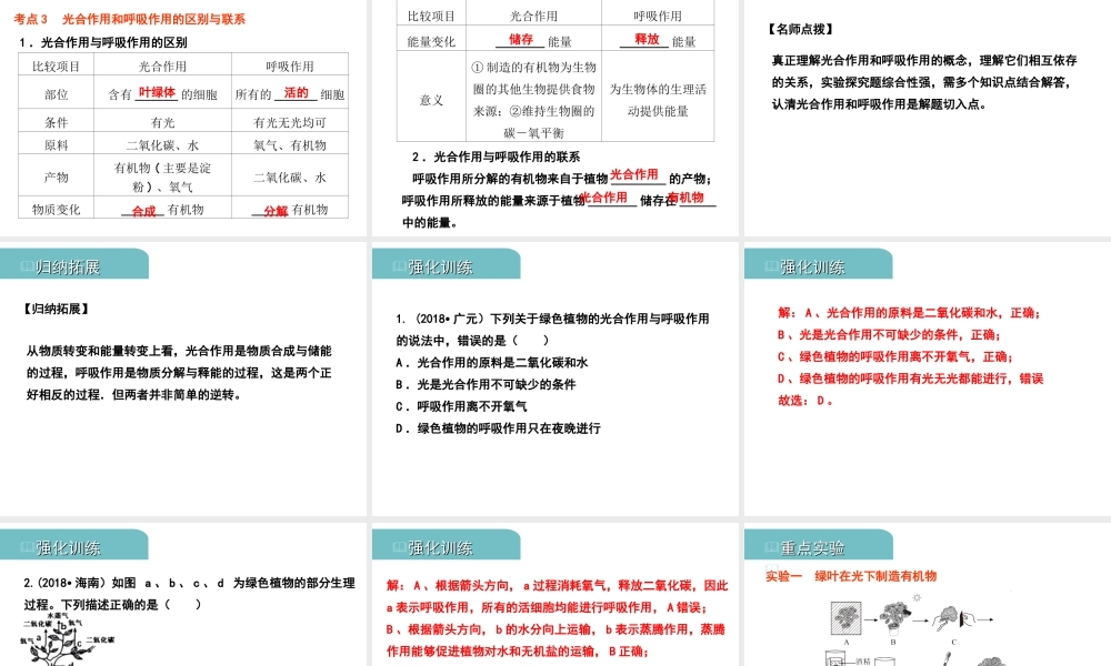 PK中考（江西专用）中考生物 四（三）绿色植物的光合作用和呼吸作用习题课件-人教级全册生物课件