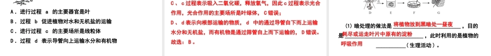 PK中考（江西专用）中考生物 四（三）绿色植物的光合作用和呼吸作用习题课件-人教级全册生物课件