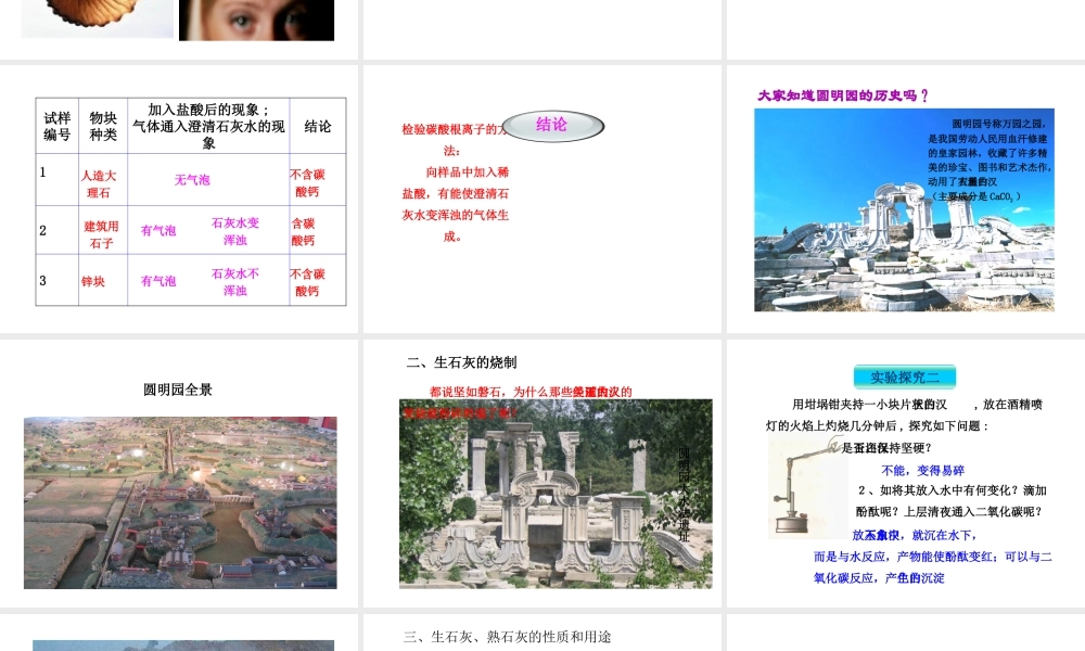 【倍速课时学练】九年级化学上册 第5章 第四节 石灰石的利用课件 沪教版