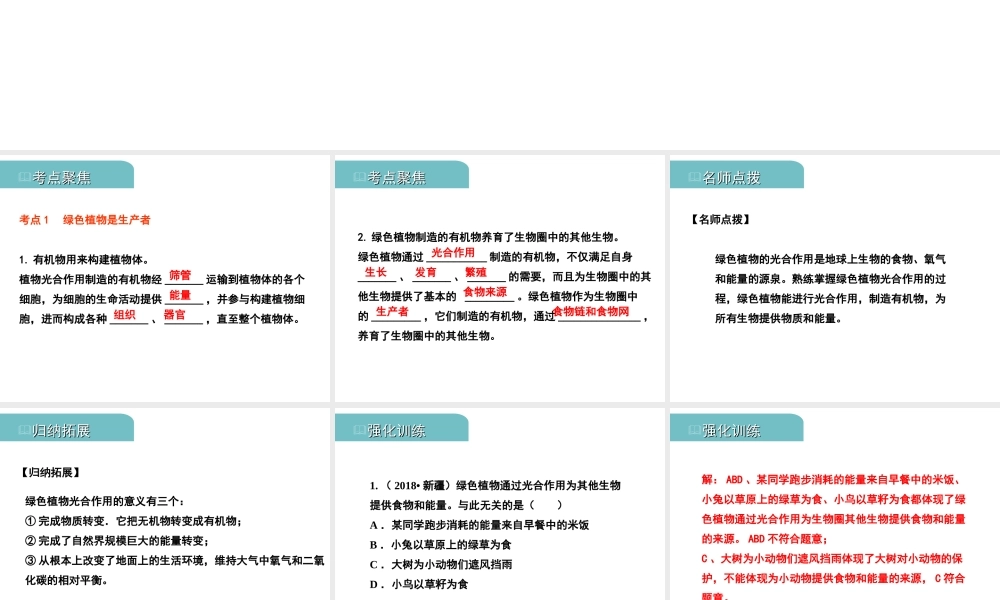 PK中考（江西专用）中考生物 四（四）绿色植物对生物圈有重大作用习题课件-人教版初中九年级全册生物课件