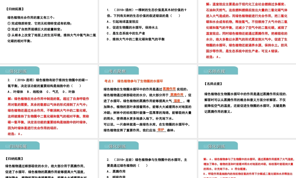 PK中考（江西专用）中考生物 四（四）绿色植物对生物圈有重大作用习题课件-人教版初中九年级全册生物课件