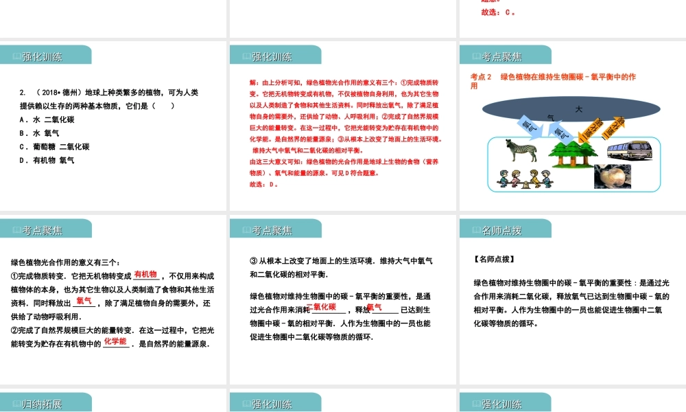 PK中考（江西专用）中考生物 四（四）绿色植物对生物圈有重大作用习题课件-人教级全册生物课件