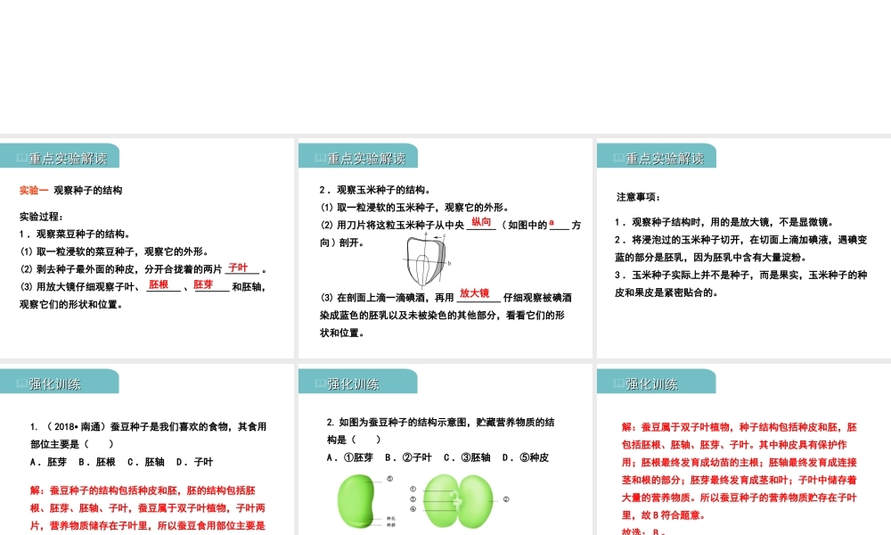 PK中考（江西专用）中考生物 四（一）绿色开花植物的一生（实验）习题课件-人教版初中九年级全册生物课件