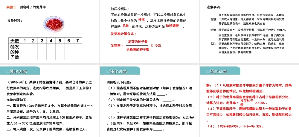 PK中考（江西专用）中考生物 四（一）绿色开花植物的一生（实验）习题课件-人教版初中九年级全册生物课件