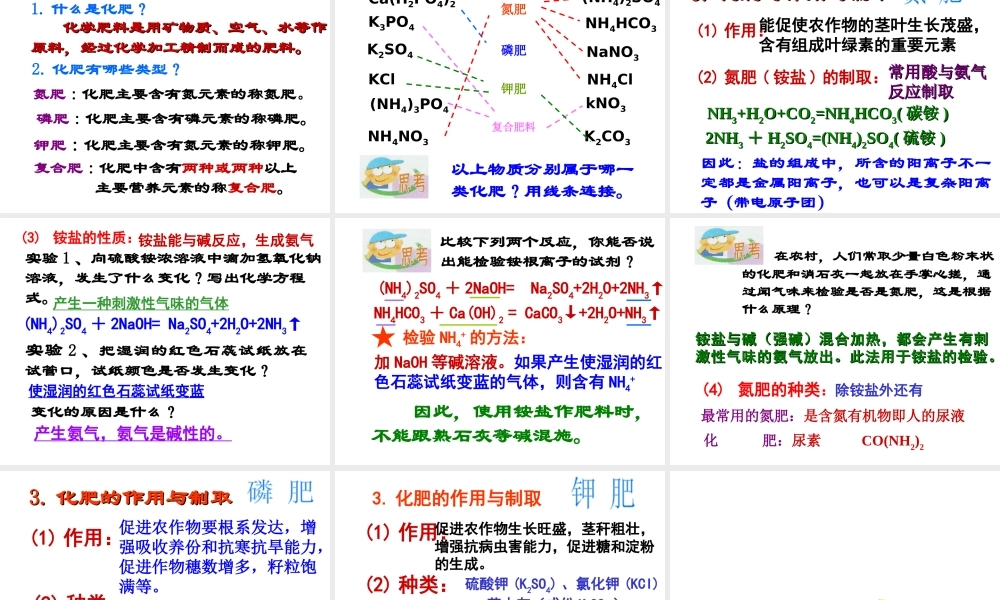 【倍速课时学练】九年级科学上册 第一章 第六节 几种重要的盐（第二课时）课件 浙教版