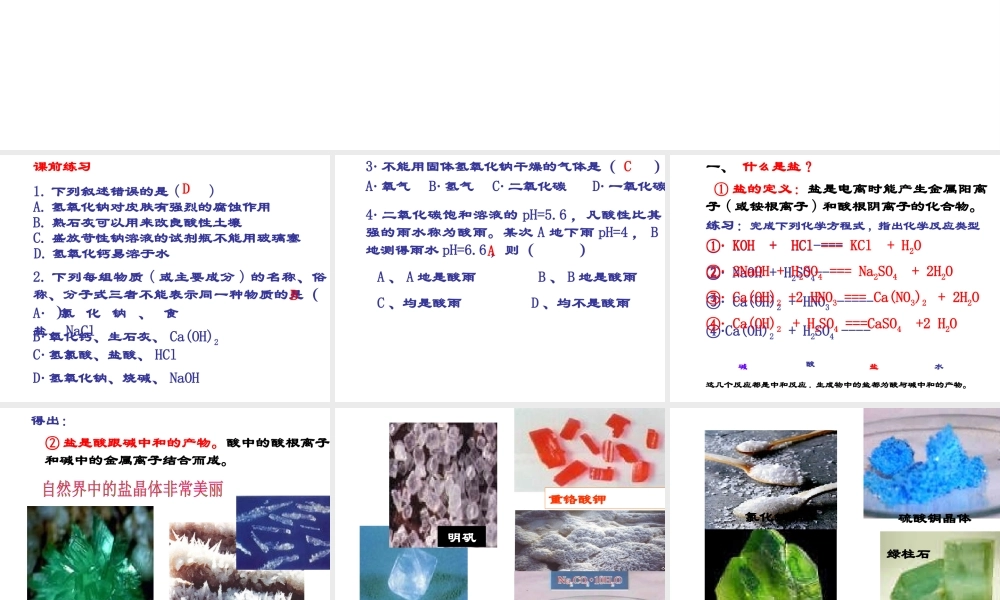 【倍速课时学练】九年级科学上册 第一章 第六节 几种重要的盐（第一课时）课件 浙教版