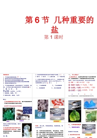 【倍速课时学练】九年级科学上册 第一章 第六节 几种重要的盐（第一课时）课件 浙教版