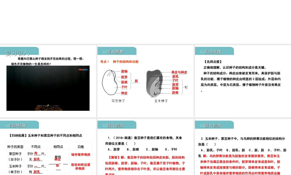 PK中考（江西专用）中考生物 四（一）绿色开花植物的一生习题课件-人教版初中九年级全册生物课件