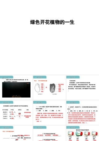 PK中考（江西专用）中考生物 四（一）绿色开花植物的一生习题课件-人教版初中九年级全册生物课件