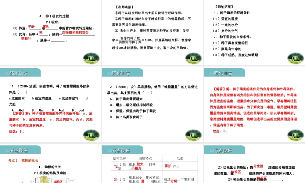 PK中考（江西专用）中考生物 四（一）绿色开花植物的一生习题课件-人教级全册生物课件