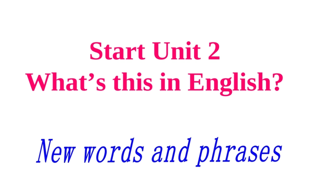 Starter Unit 2词汇教学课件