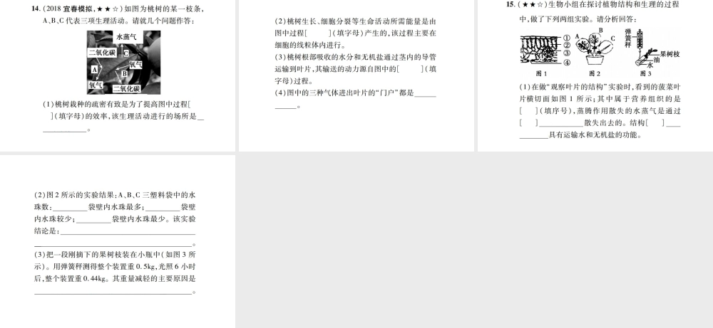 PK中考（江西专用）中考生物 同步高效集训（八）课件-人教版初中九年级全册生物课件