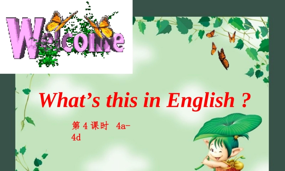 Starter Unit 2第4课时